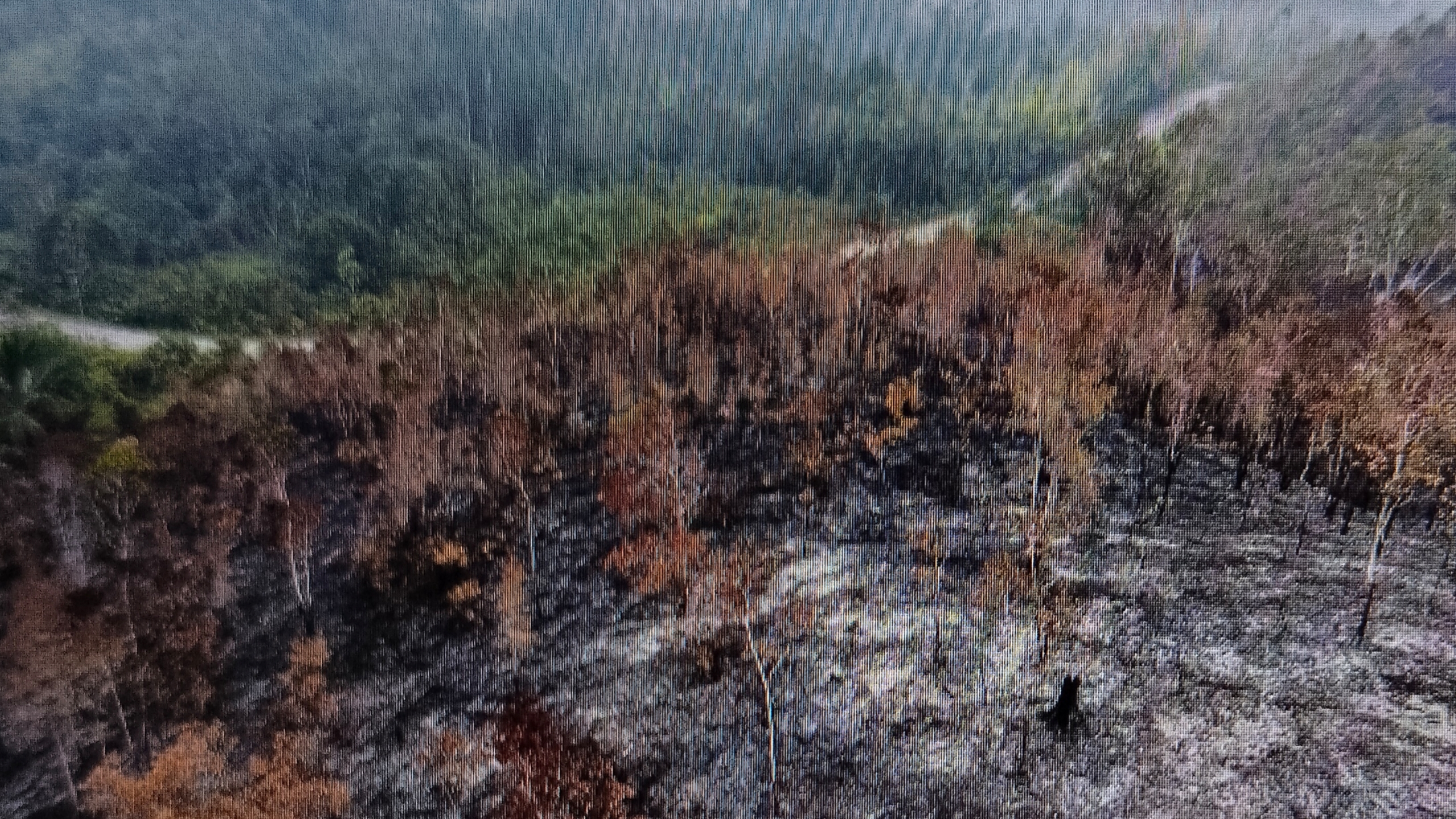 5 PERUSAHAAN PEMICU KEBAKARAN DISEGEL PEMERINTAH